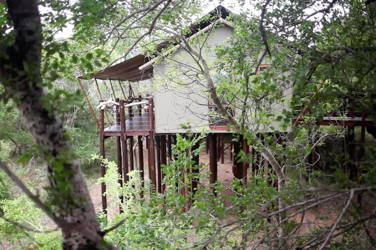 Luxuszelt Kapama Buffalo Camp